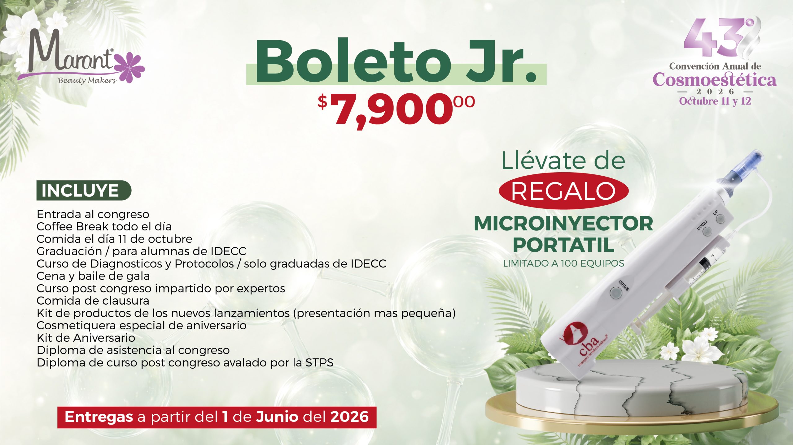 Boleto Jr_Mesa de trabajo 1